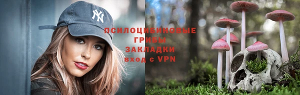 гашик Арсеньев