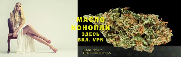 гашик Арсеньев