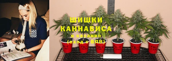 не бодяженный Армянск