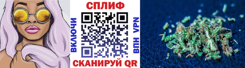 Конопля сатива Родники