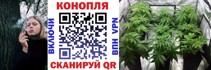Марихуана гибрид  Родники 